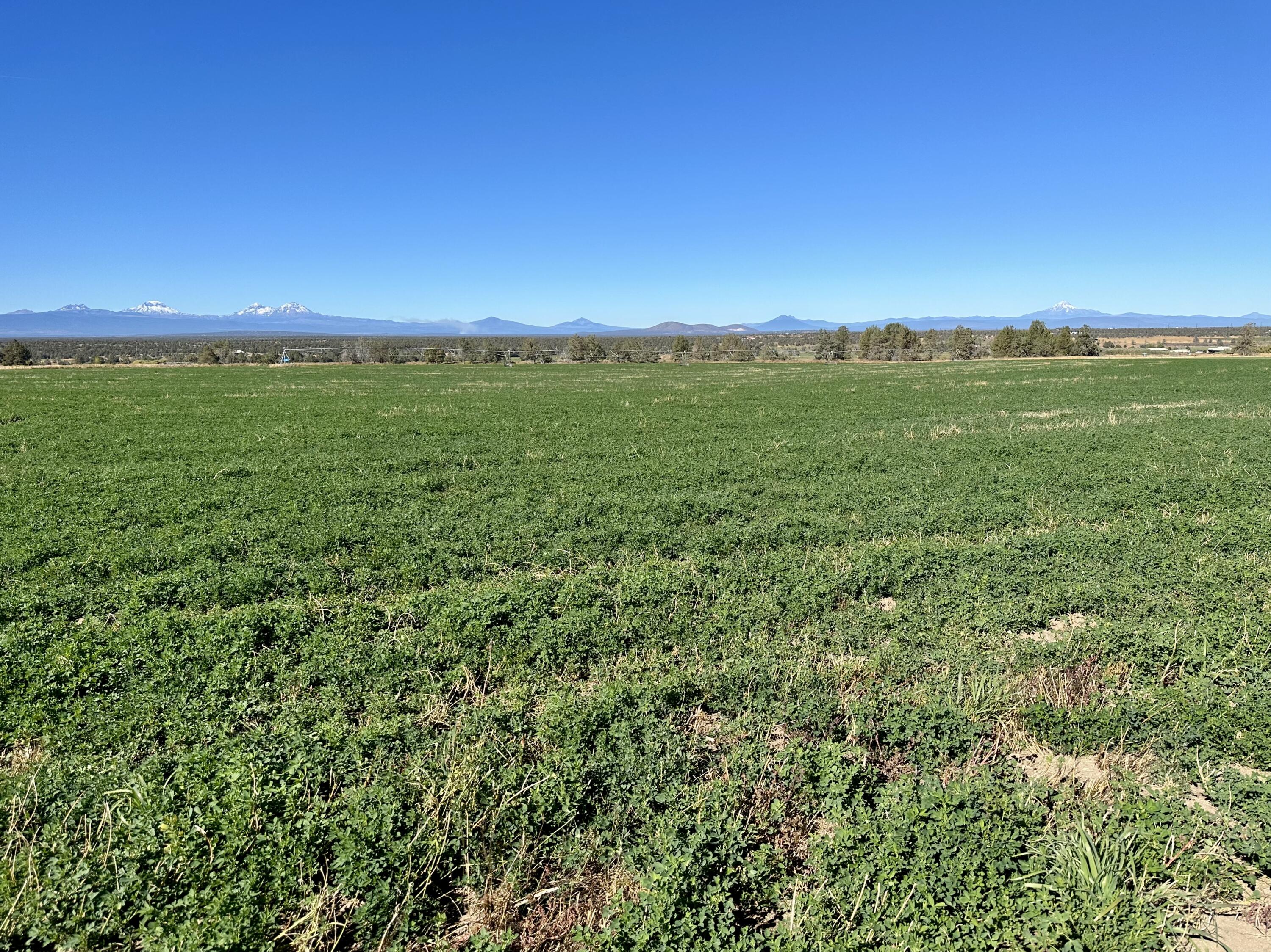 SW Shumway Road TL 105