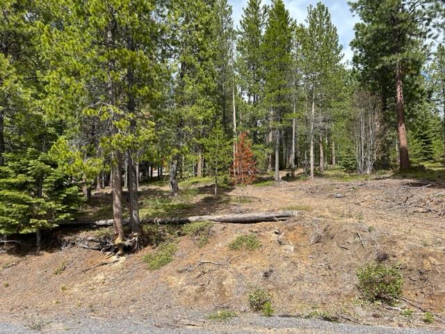 Diamond Peaks - Land