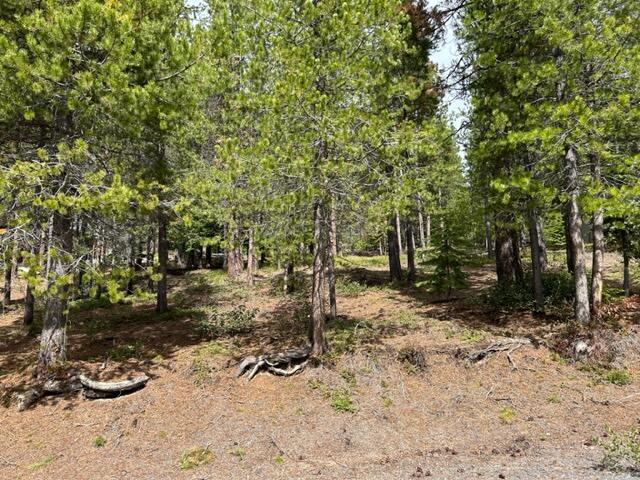 Diamond Peaks - Land