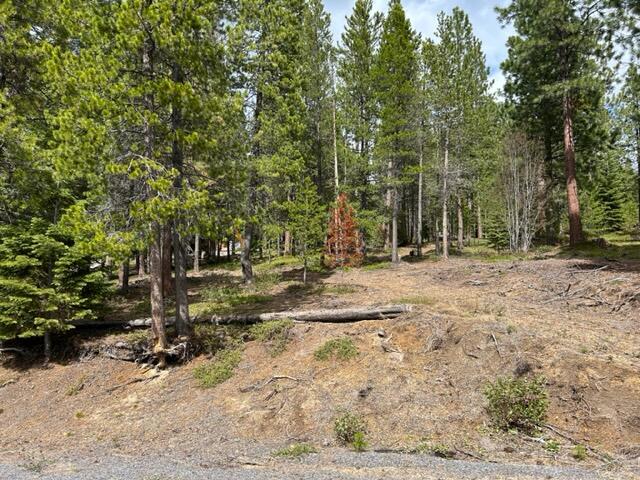 Diamond Peaks - Land