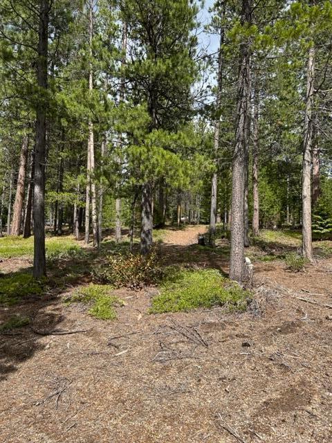 Diamond Peaks - Land