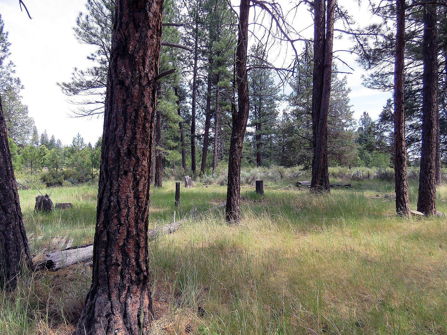 F. Archambeau Estate - Land