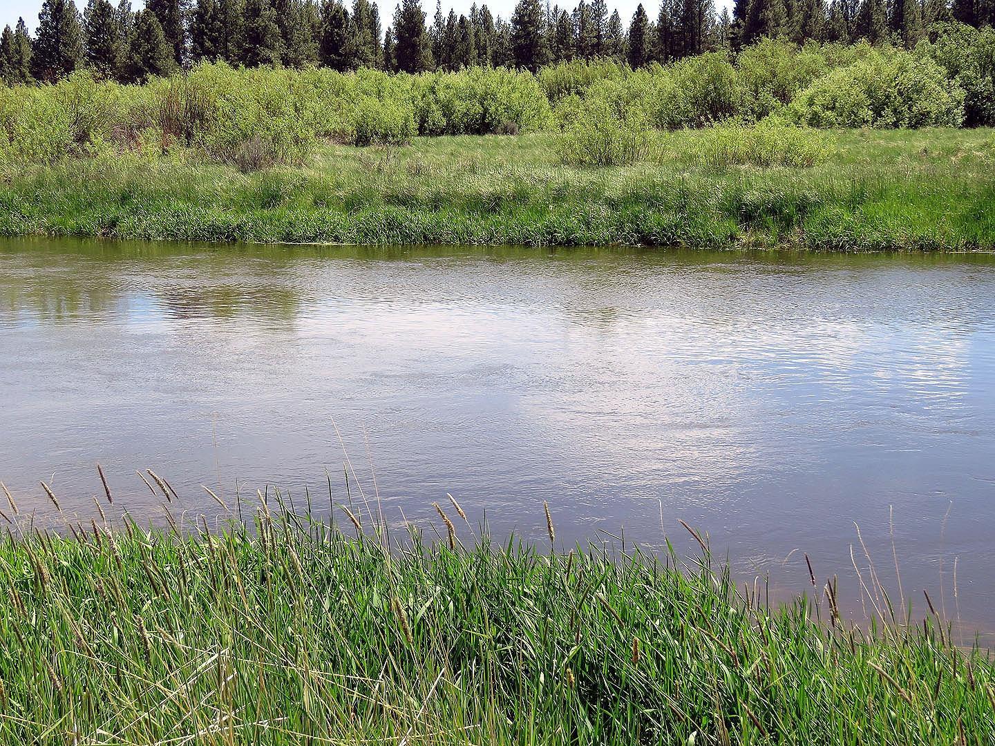 F. Archambeau Estate - Land