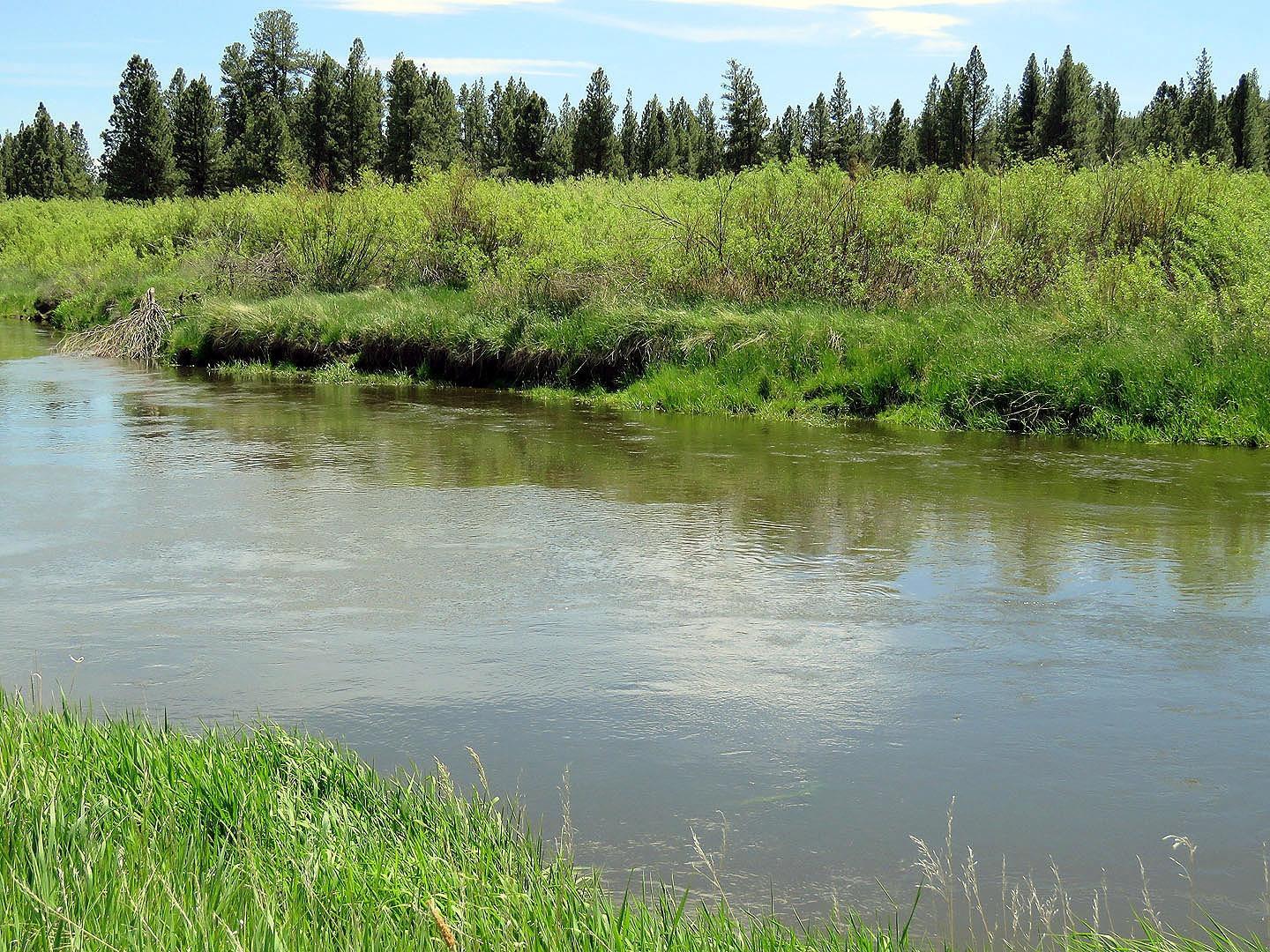 F. Archambeau Estate - Land