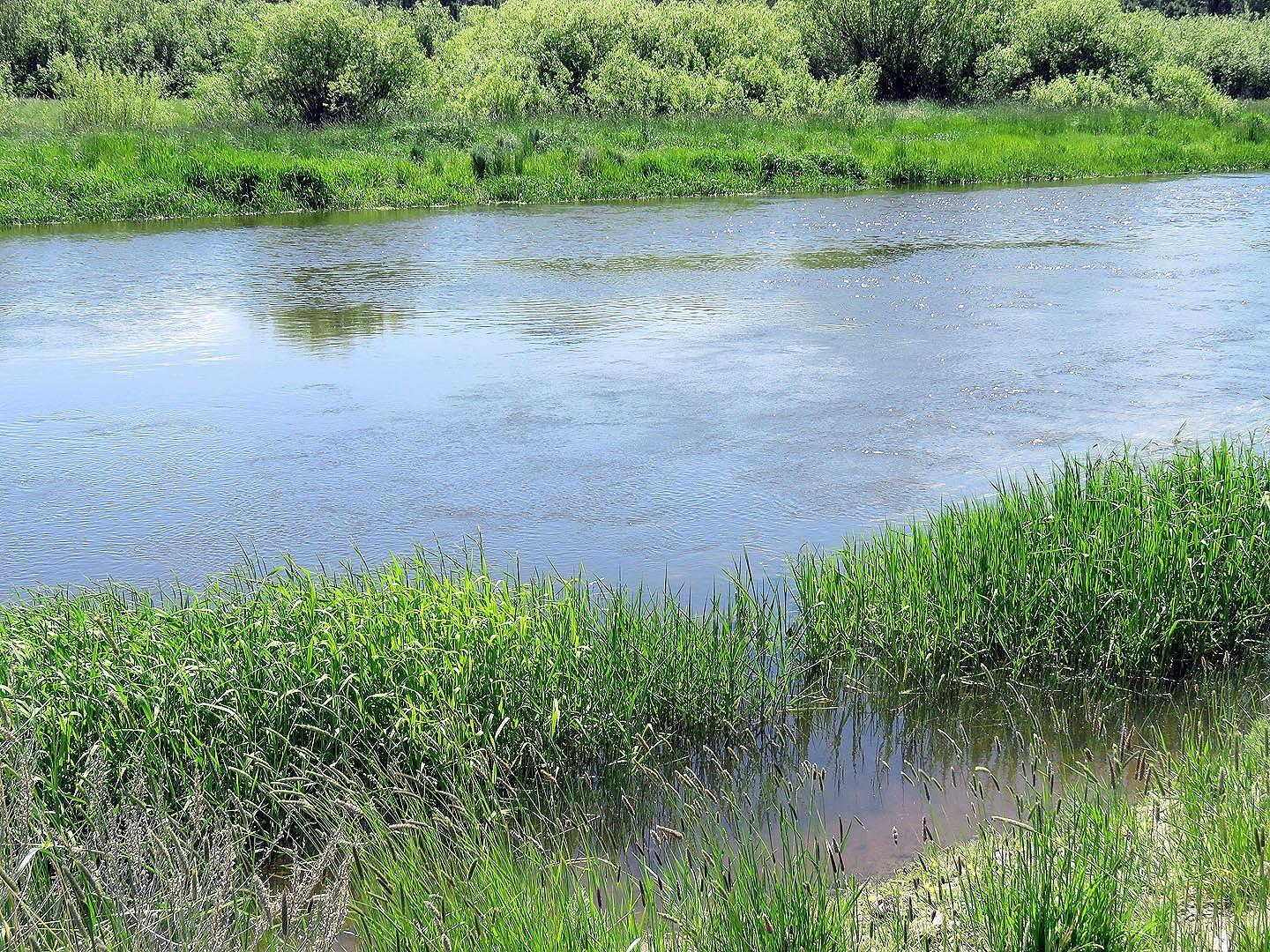 F. Archambeau Estate - Land