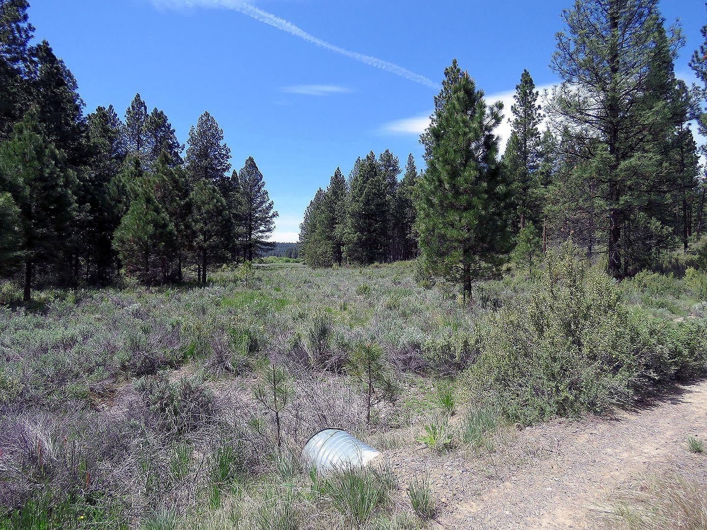 F. Archambeau Estate - Land