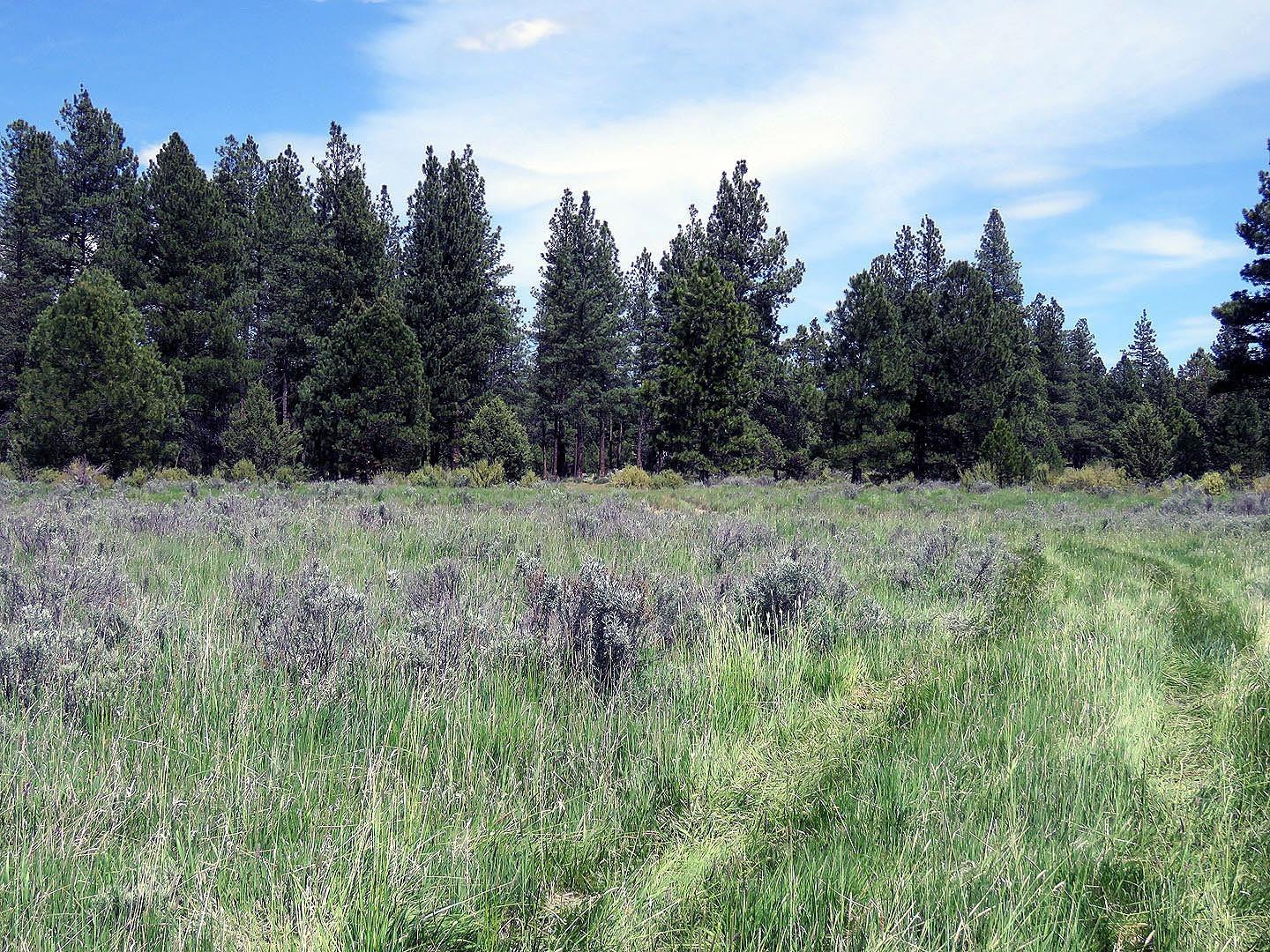 F. Archambeau Estate - Land