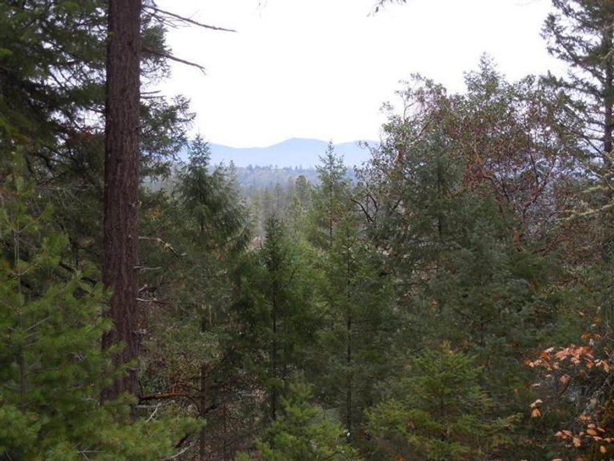 Own your own beautiful private piece of Southern Oregon. This 5.45 acres has so much to offer. From the great mountain views, to over looking your own private spread. There is great soil and enough flat ground to have a nice garden/minifarm and room for some farm critters. The property has home site approval, septic system is installed, 5 GPM spring feed well(is considered a real well by county Water Master) with pump and a 2500 gallon holding tank with a UV purification system and power to the home site, as per seller. There is for the fun at heart, a little rustic cabin or children's play house. Wild life is abundant and you are just over a mile away from the great Salmon/Steelhead fishing at Finley Bend on the mighty Rogue river. Schedule your appointment to go see this property for yourself, bring your imagination and picture your custom built home on this land. No drive byes, property is at the end of a private drive. Possible Owner Carry.