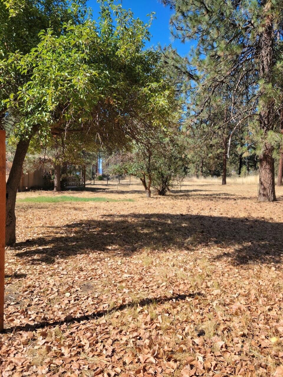 Irish Bend - Residential