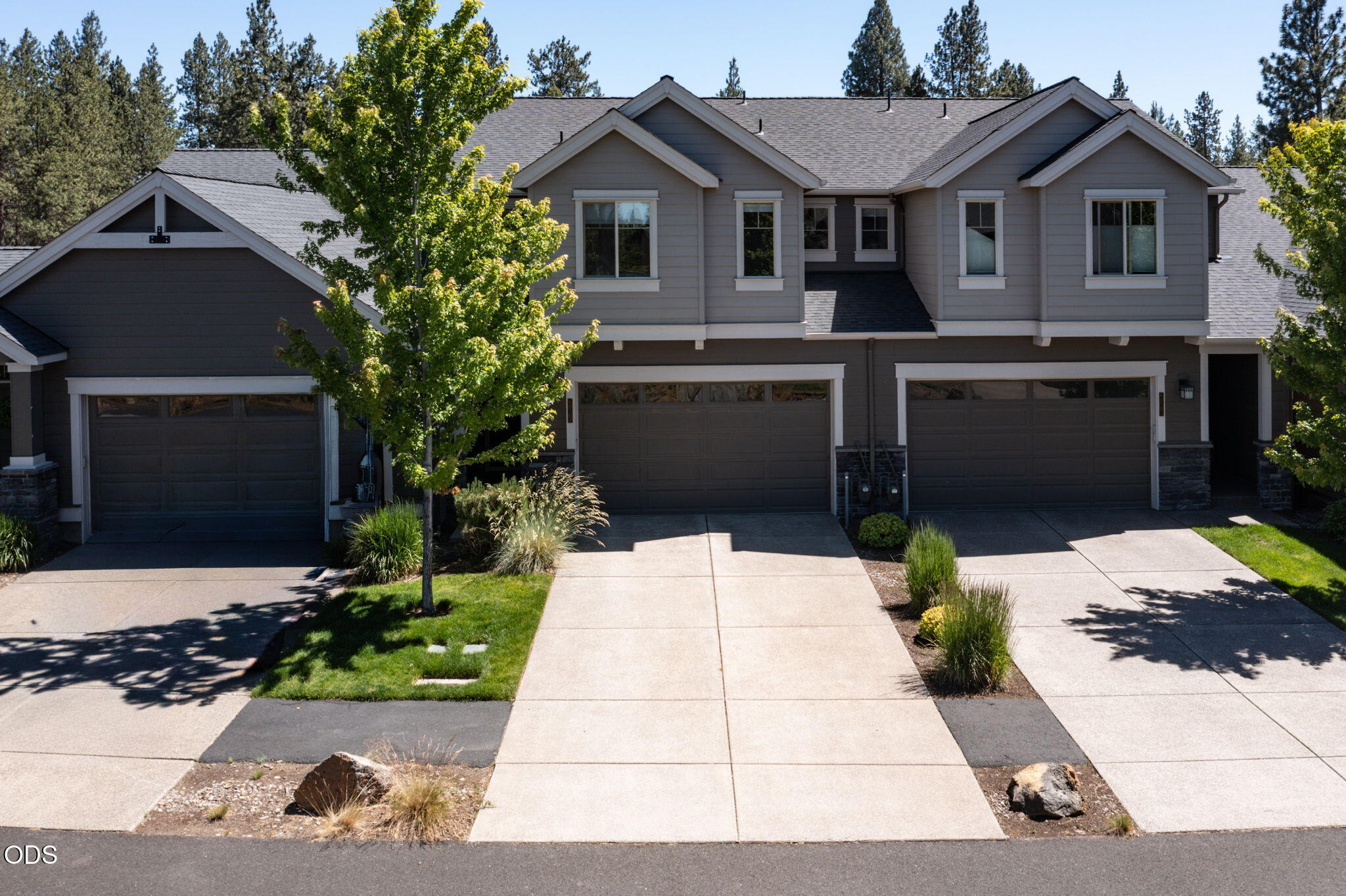60507 Hedgewood