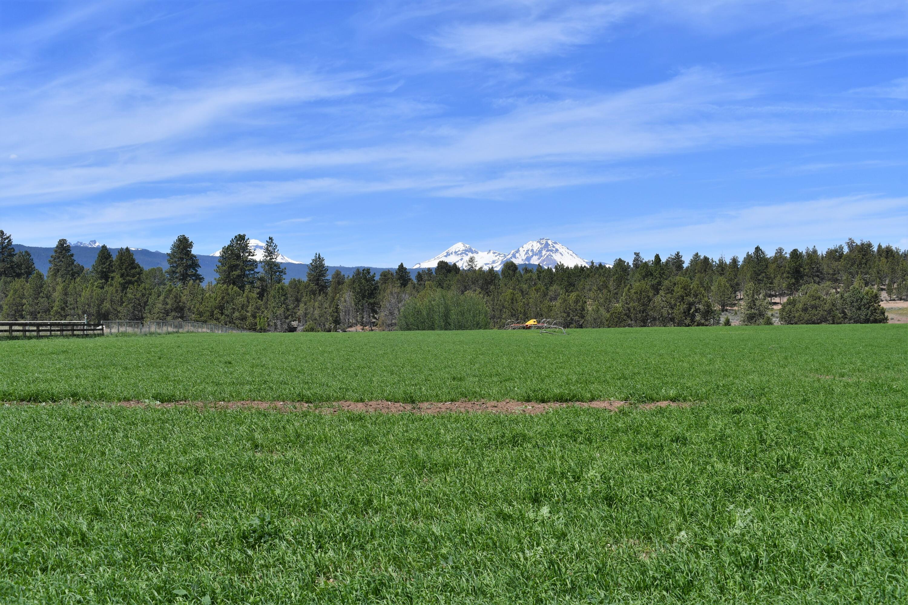 Bear Springs Acres - Residential