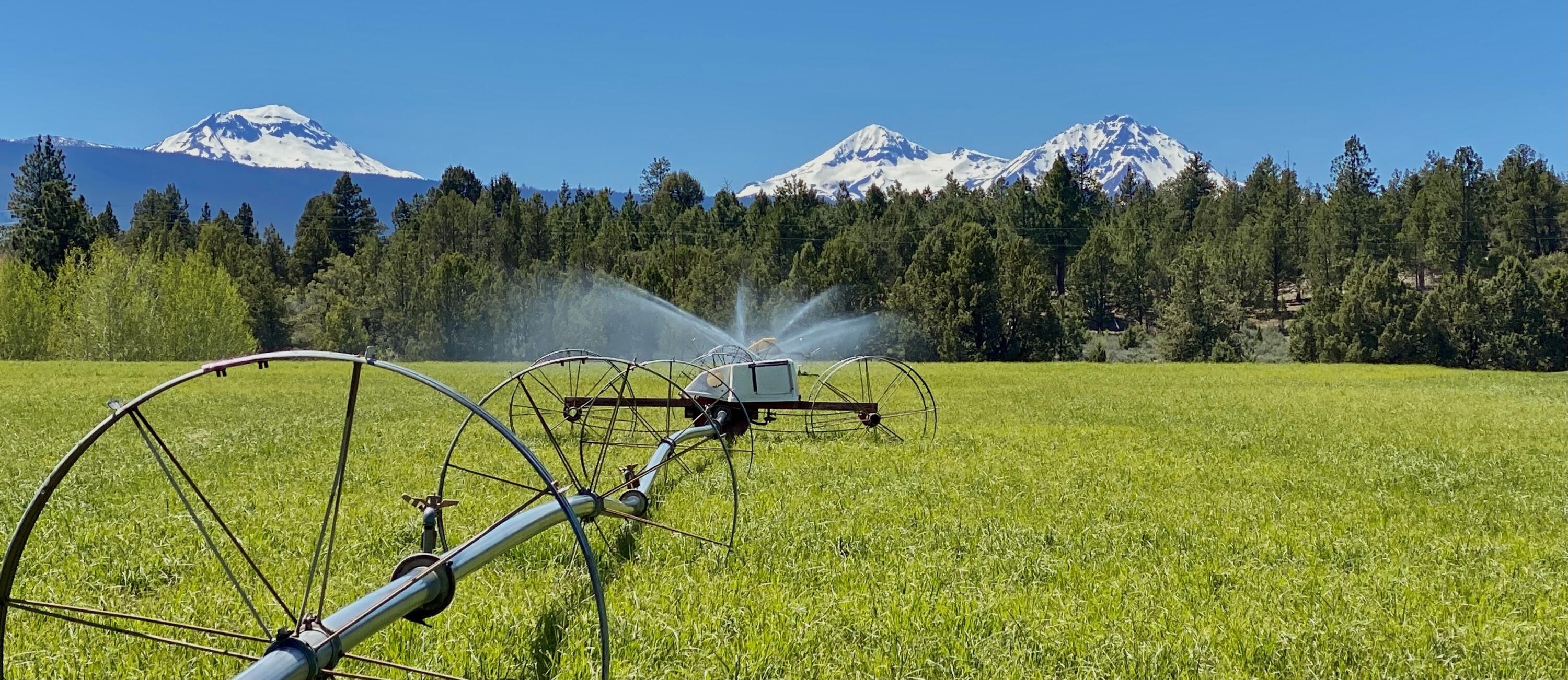 Bear Springs Acres - Residential