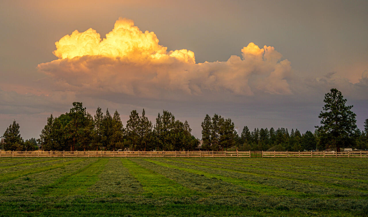 Bear Springs Acres - Residential