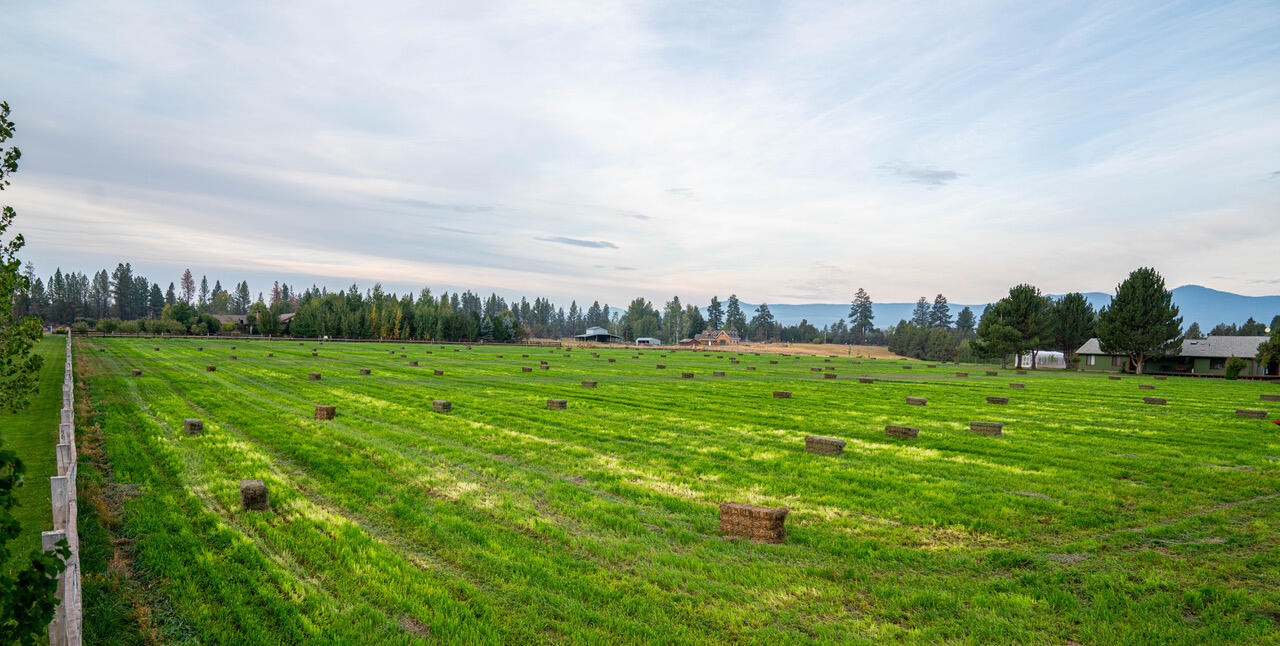 Bear Springs Acres - Residential