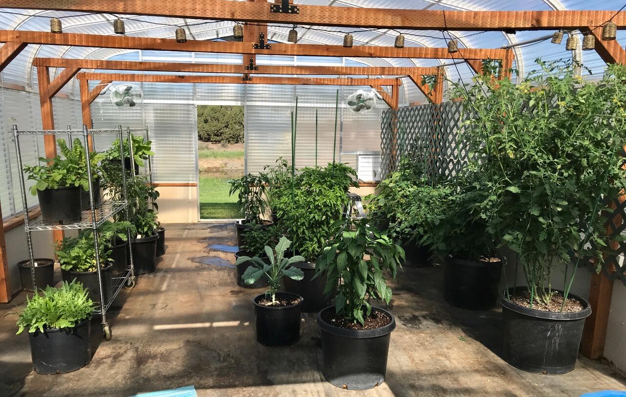 Bear Springs Acres - Residential