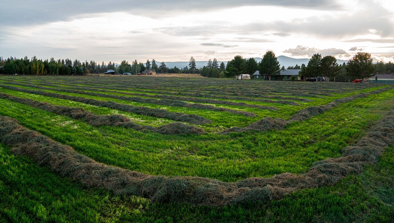 Bear Springs Acres - Residential