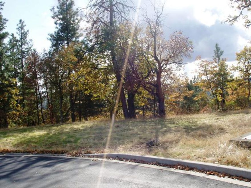 Buildable lot in the White Oak Ridge Subdivision in Shady Cove is now priced to sell! At this price that custom home that you have been dreaming about is within reach. This is a planned community and there are CC&R's that will protect this subdivision.