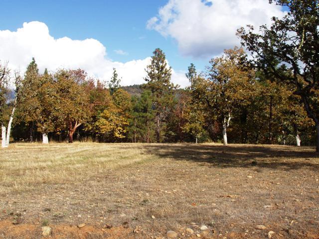 White Oak Ridge - Land