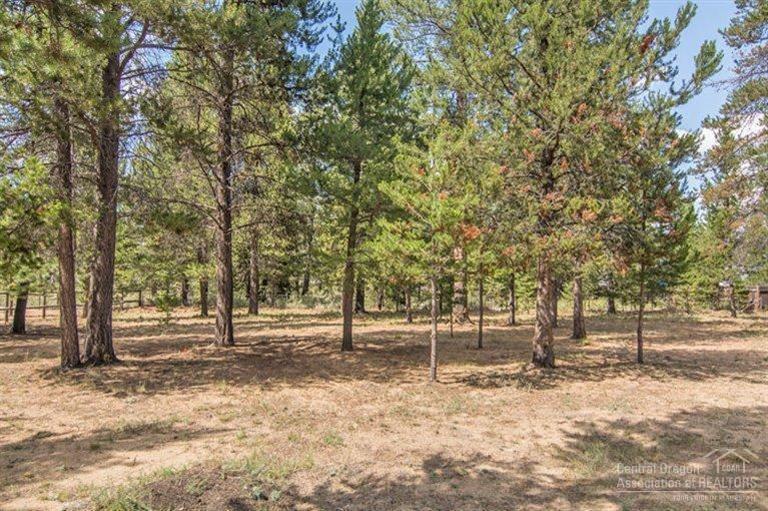 Tall Pines - Residential