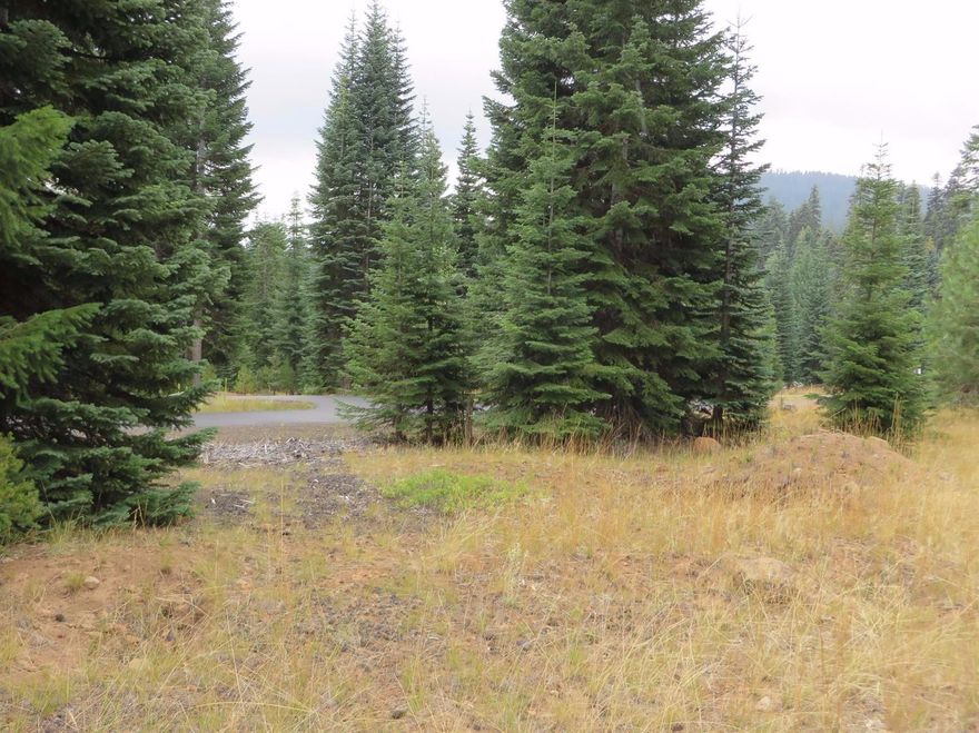 This one of a kind building lot is surrounded by mountains, trees and wilderness life. Every outdoor enthusiast dreams about building a home in this environment. Traveling 4-5 miles will take you to Lake of the Woods Resort where you can enjoy fishing, boating, camping, hiking, paddle boarding, kayaking and much more during the summer months. There are an additional 3 lakes within 10 minutes including Hyatt Lake, Howard Prairie, Fish Lake. As the seasons change you can enjoy hunting, snowshoeing, cross country skiing, sledding and snowmobiling. If you are looking for a tranquil relaxing outdoor environment to settle down and call your home this is the perfect spot to build your outdoor sanctuary. This home backs up to BLM and has fantastic views.