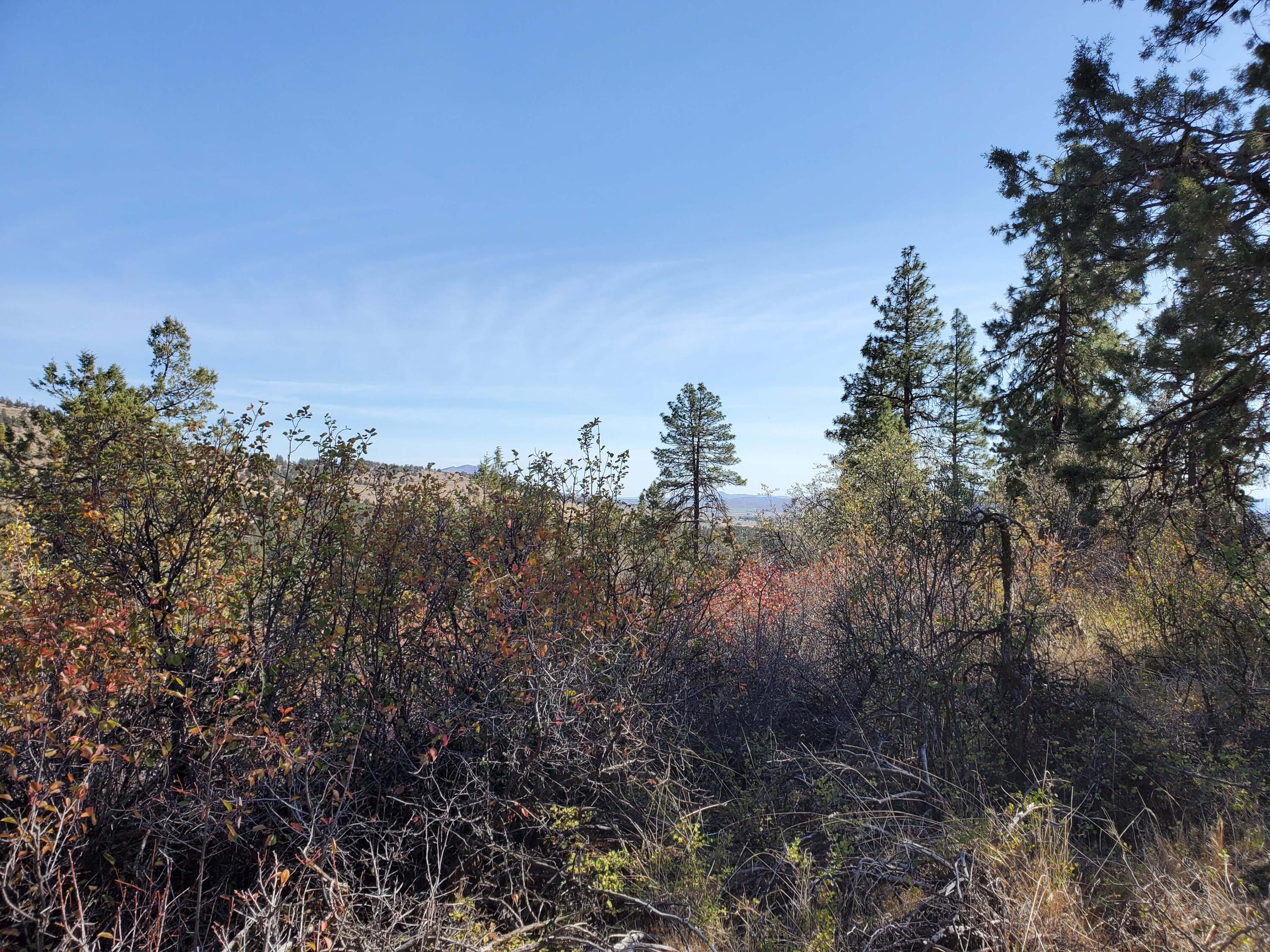 Ridgewater Subdivision -Phase 1 - Land