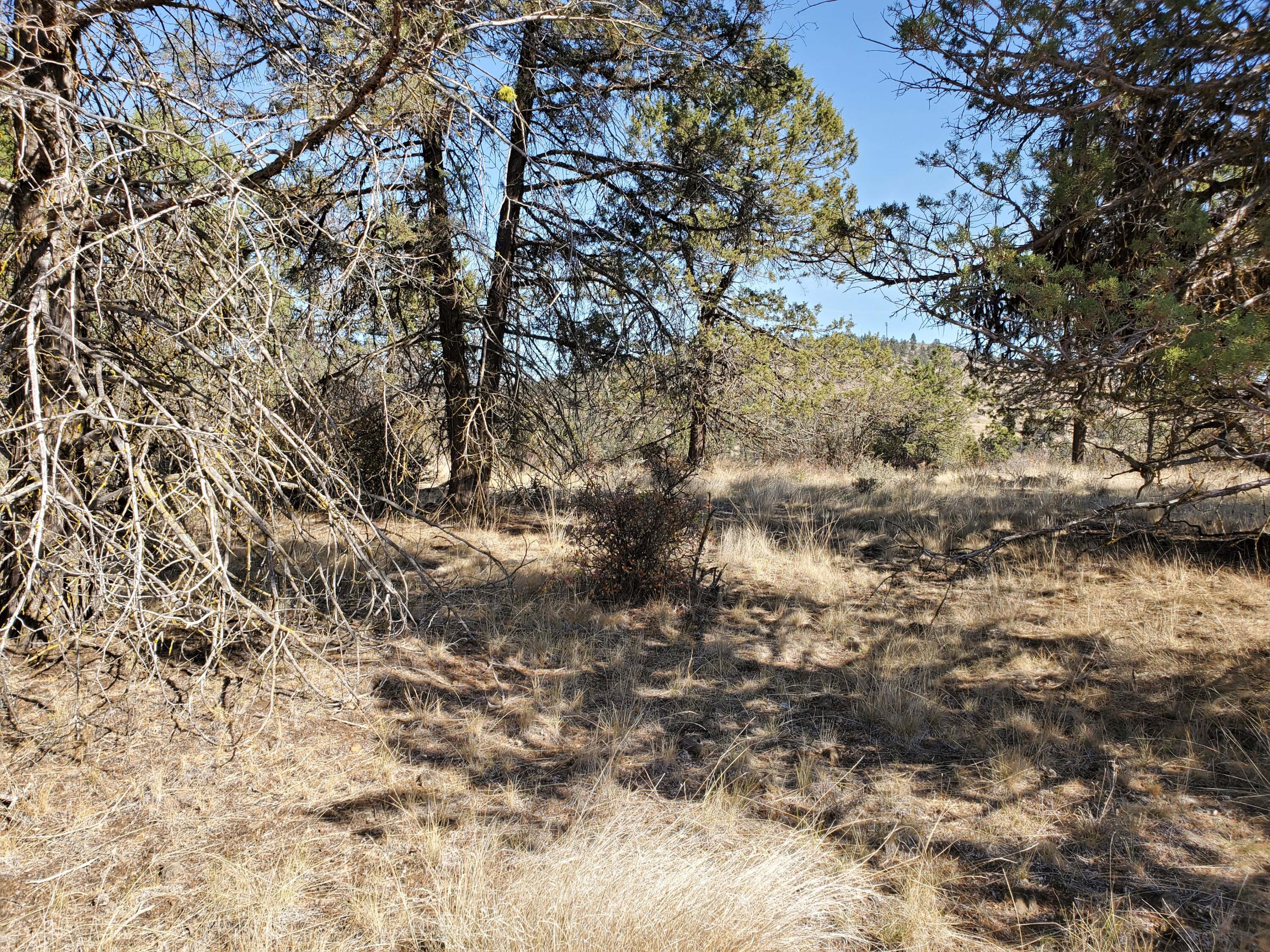 Ridgewater Subdivision -Phase 1 - Land