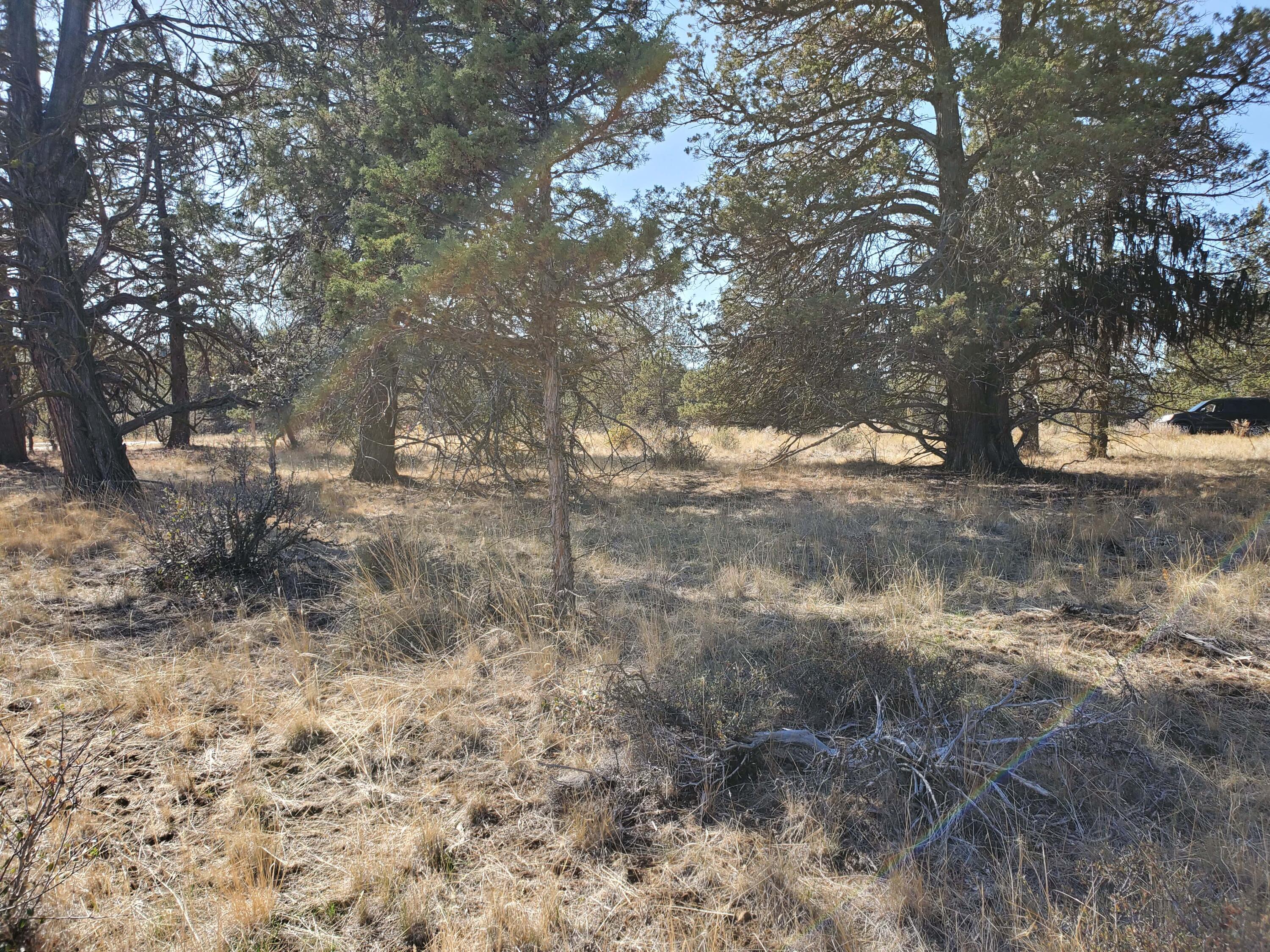 Ridgewater Subdivision -Phase 1 - Land