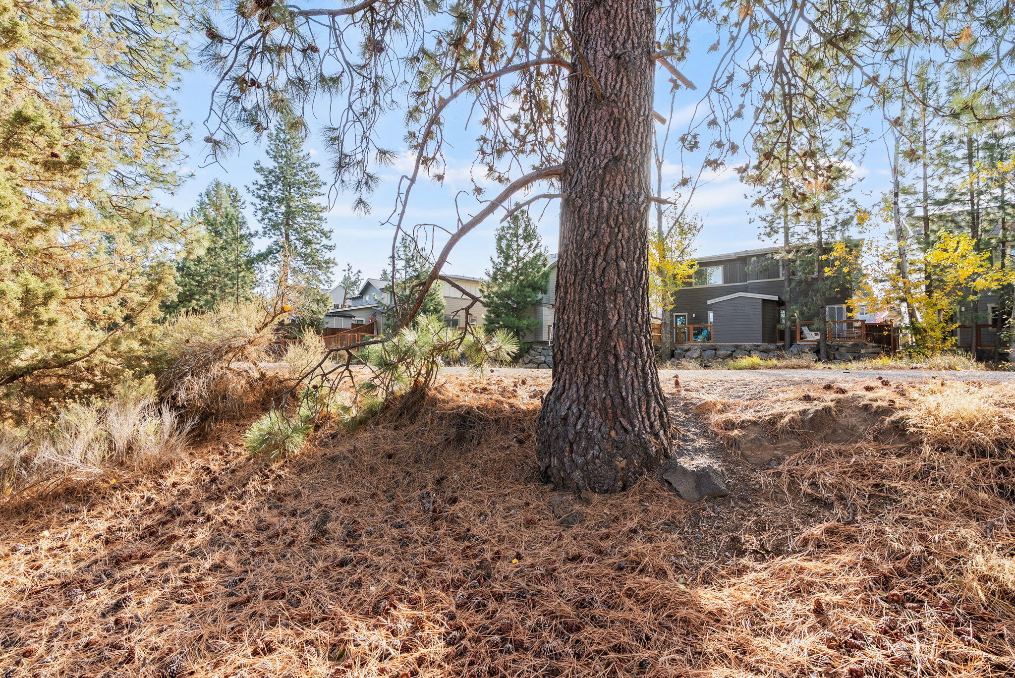 1317 SW Boardwalk Lane