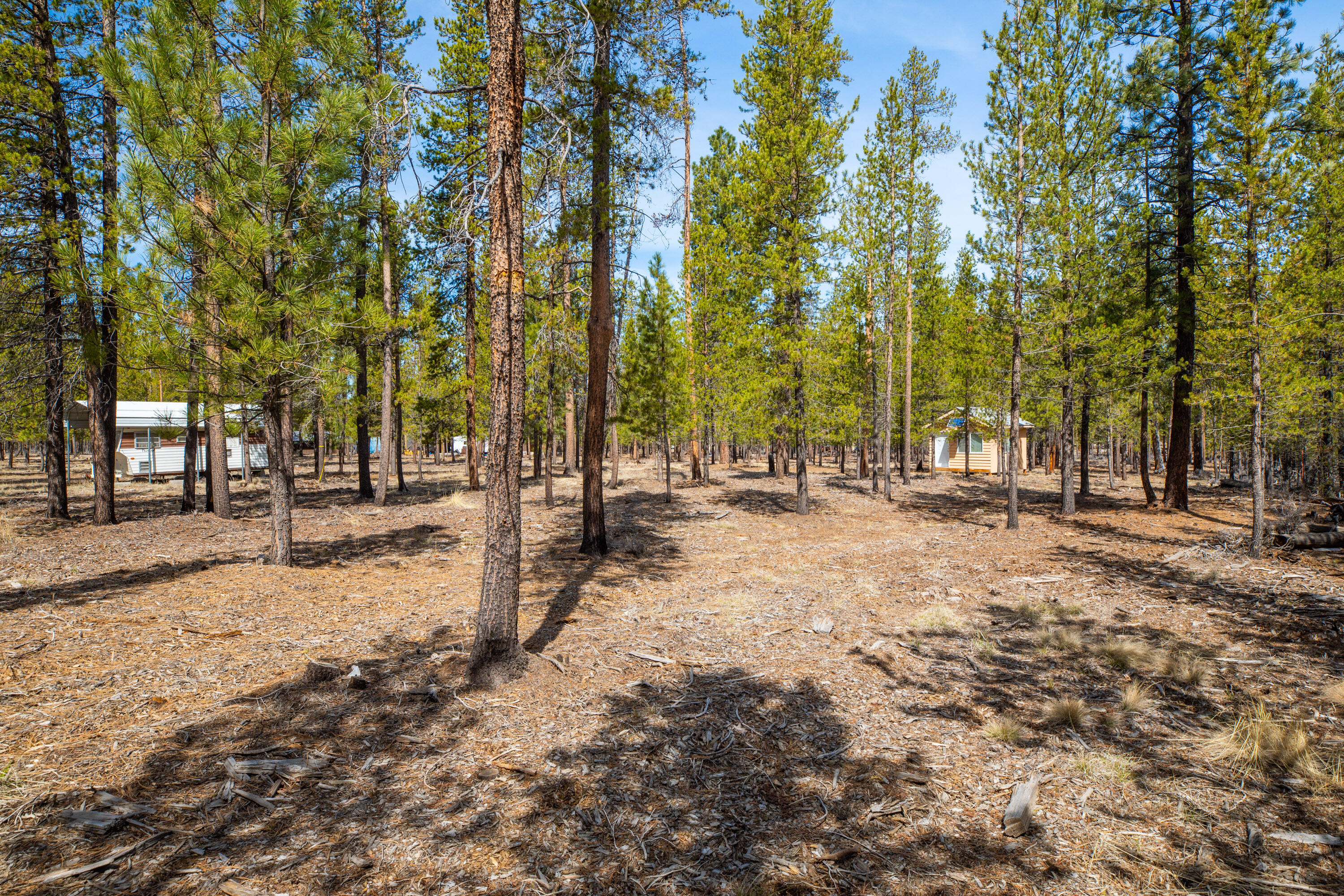 Sun Forest Estates - Land