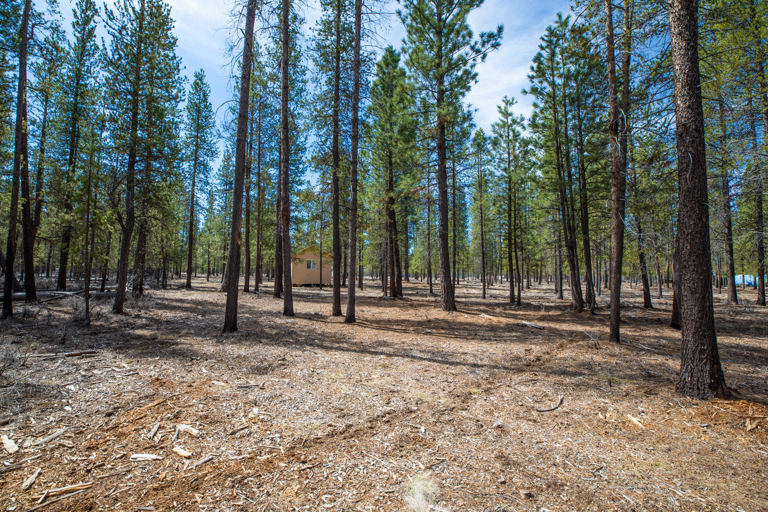 Sun Forest Estates - Land