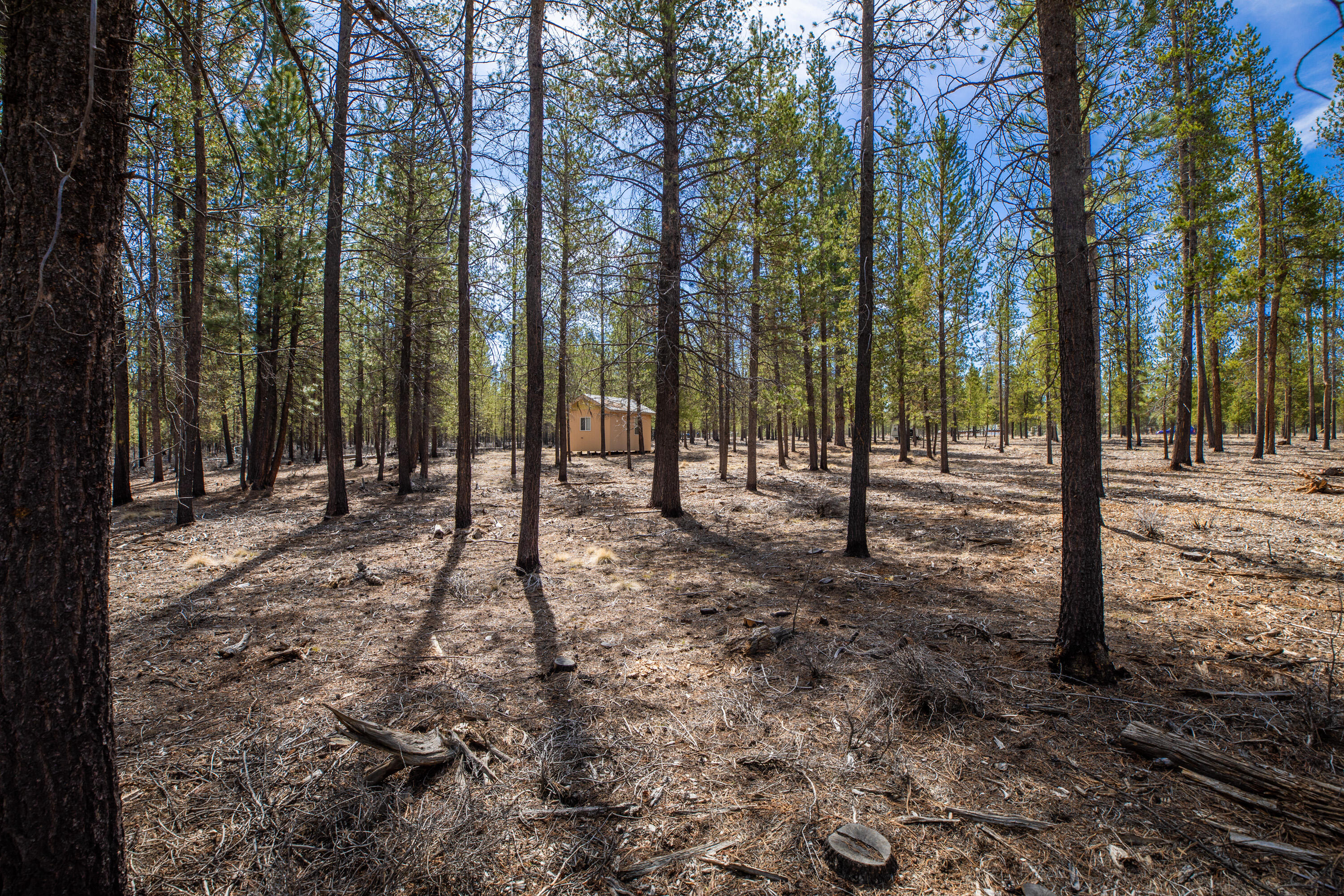 Sun Forest Estates - Land