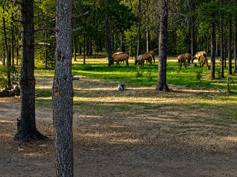 Tiny photo for 15789 Deedon Lane, La Pine, OR 97739 (MLS # 220221483)