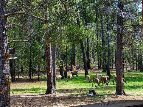Tiny photo for 15789 Deedon Lane, La Pine, OR 97739 (MLS # 220221483)