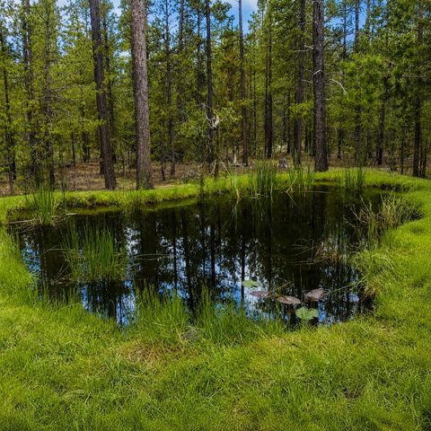 Tiny photo for 15789 Deedon Lane, La Pine, OR 97739 (MLS # 220221483)