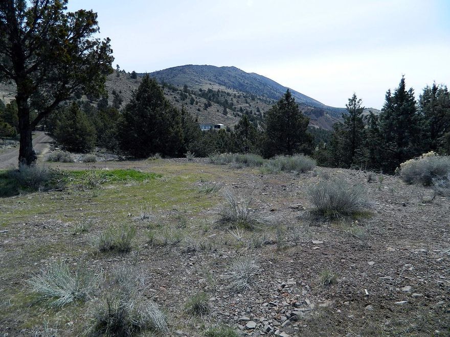 Here is a great view lot with southern exposure just minutes from town. There is a paved road to the property and good gravel driveway with utilities close by. There is a really good view of the valley and Mt. Shasta