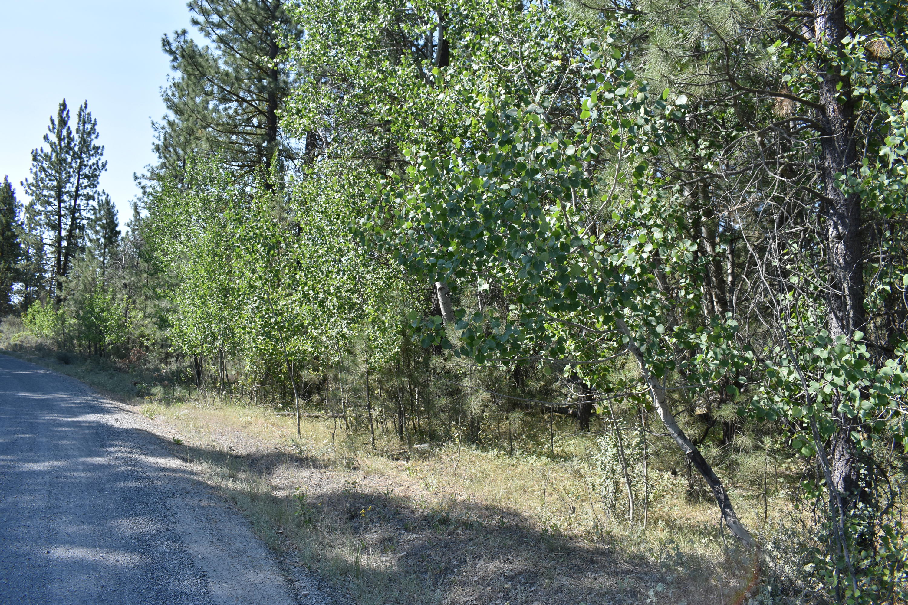 Klamath Falls Forest Estates Hwy 66 Unit Plat 4 - Land