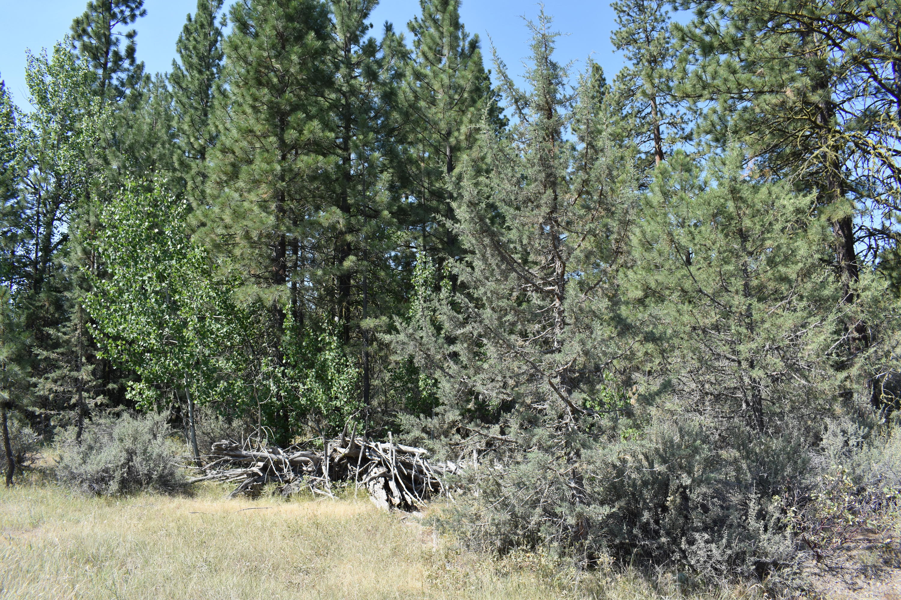 Klamath Falls Forest Estates Hwy 66 Unit Plat 4 - Land