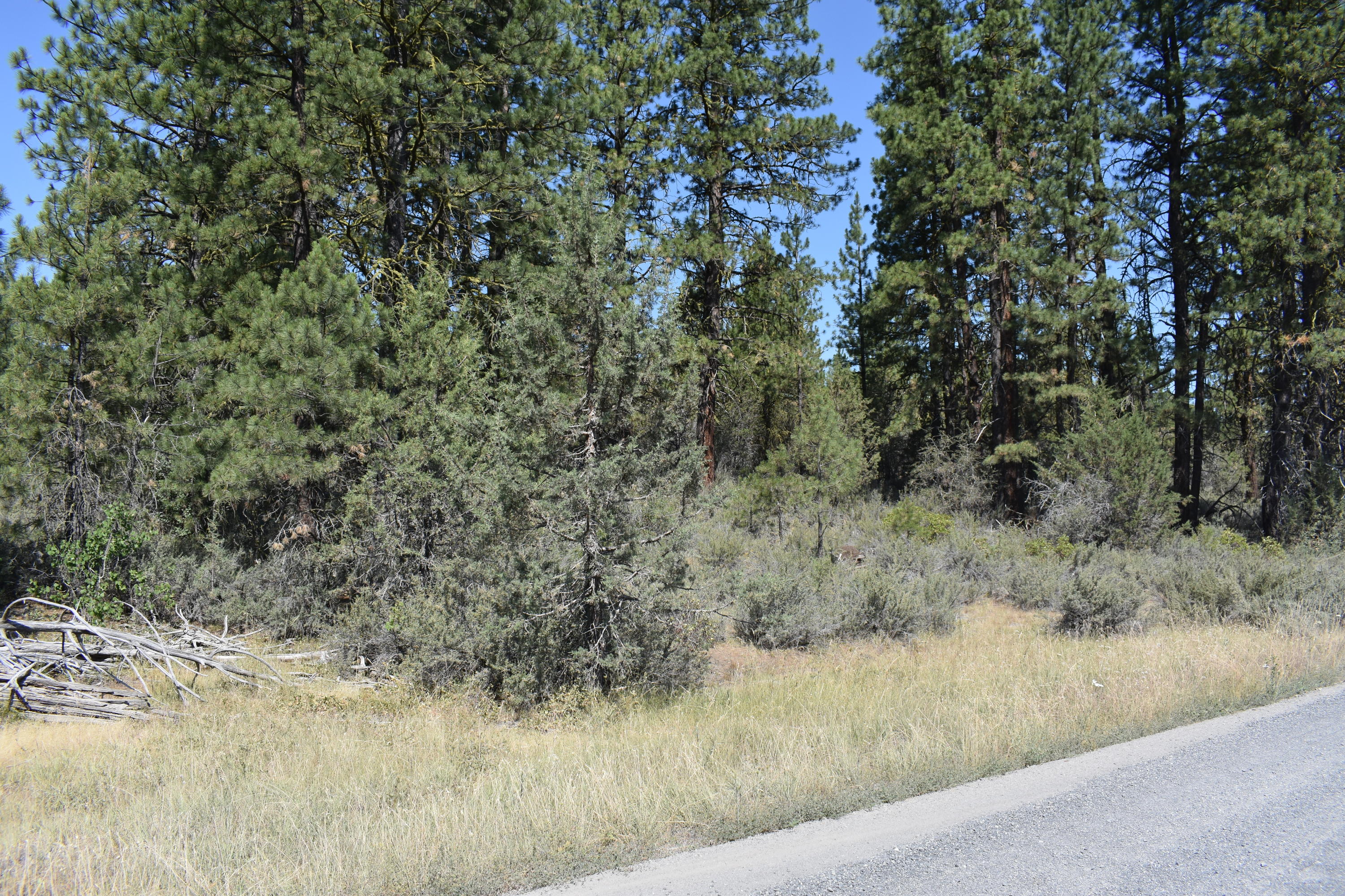 Klamath Falls Forest Estates Hwy 66 Unit Plat 4 - Land