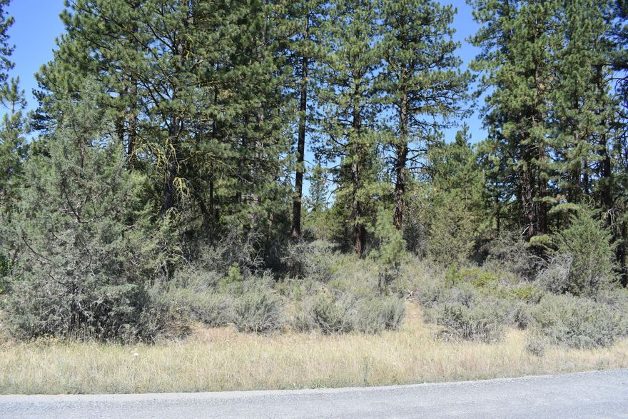 Dreamy, Ready-to-build, Corner lot! 3.07 acres in Klamath Forest Estates. Zoned R2, easy access and ready for you. Buyer to complete due diligence.