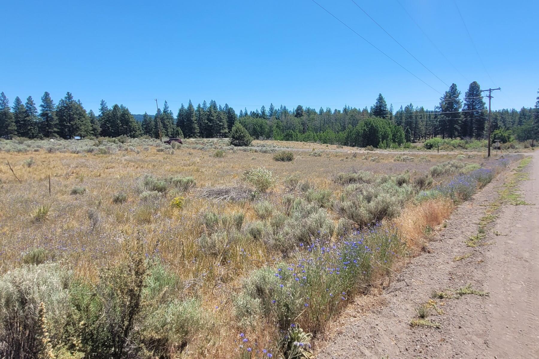 Oregon Shores -Unit 2-First Addition - Land