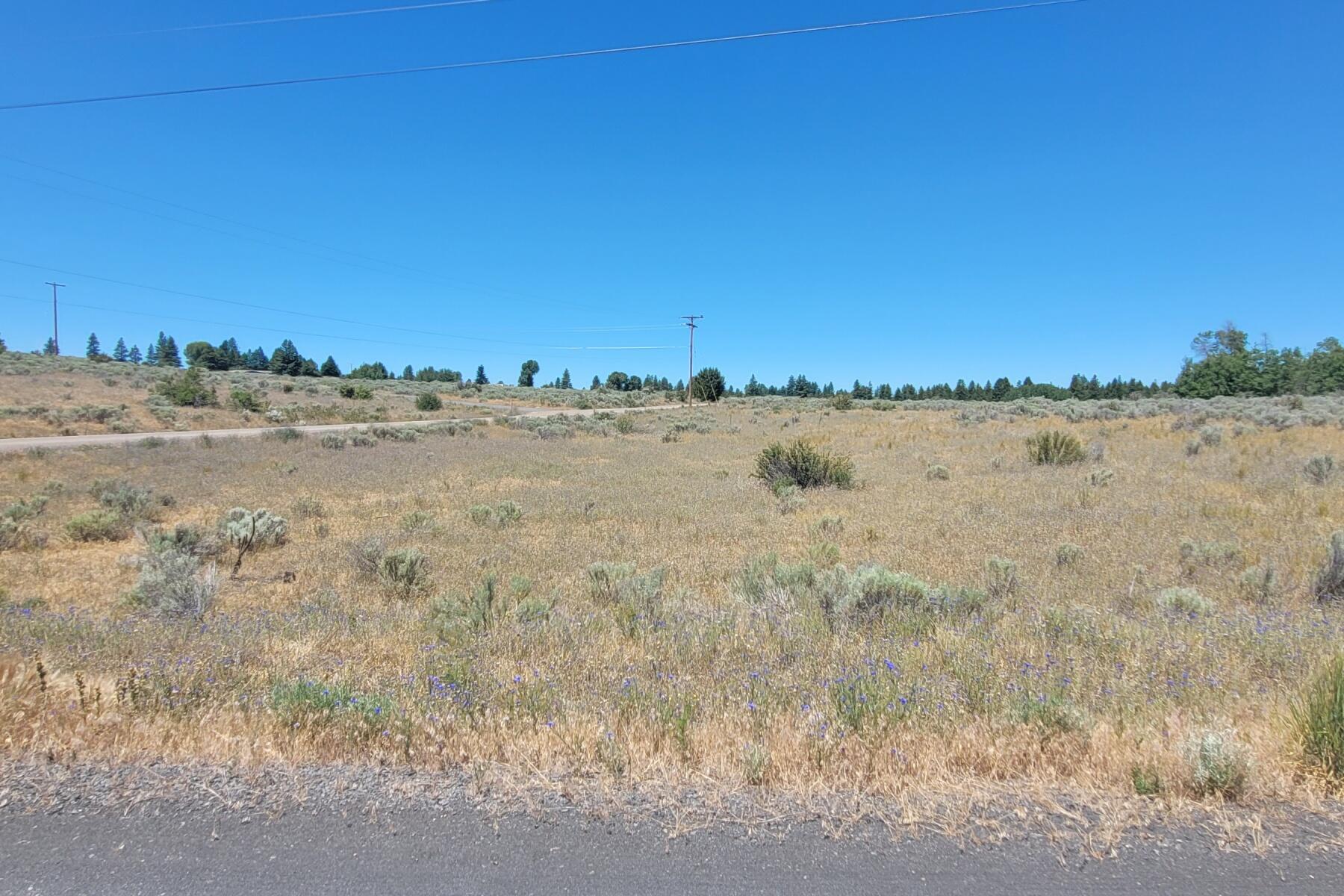 Oregon Shores -Unit 2-First Addition - Land