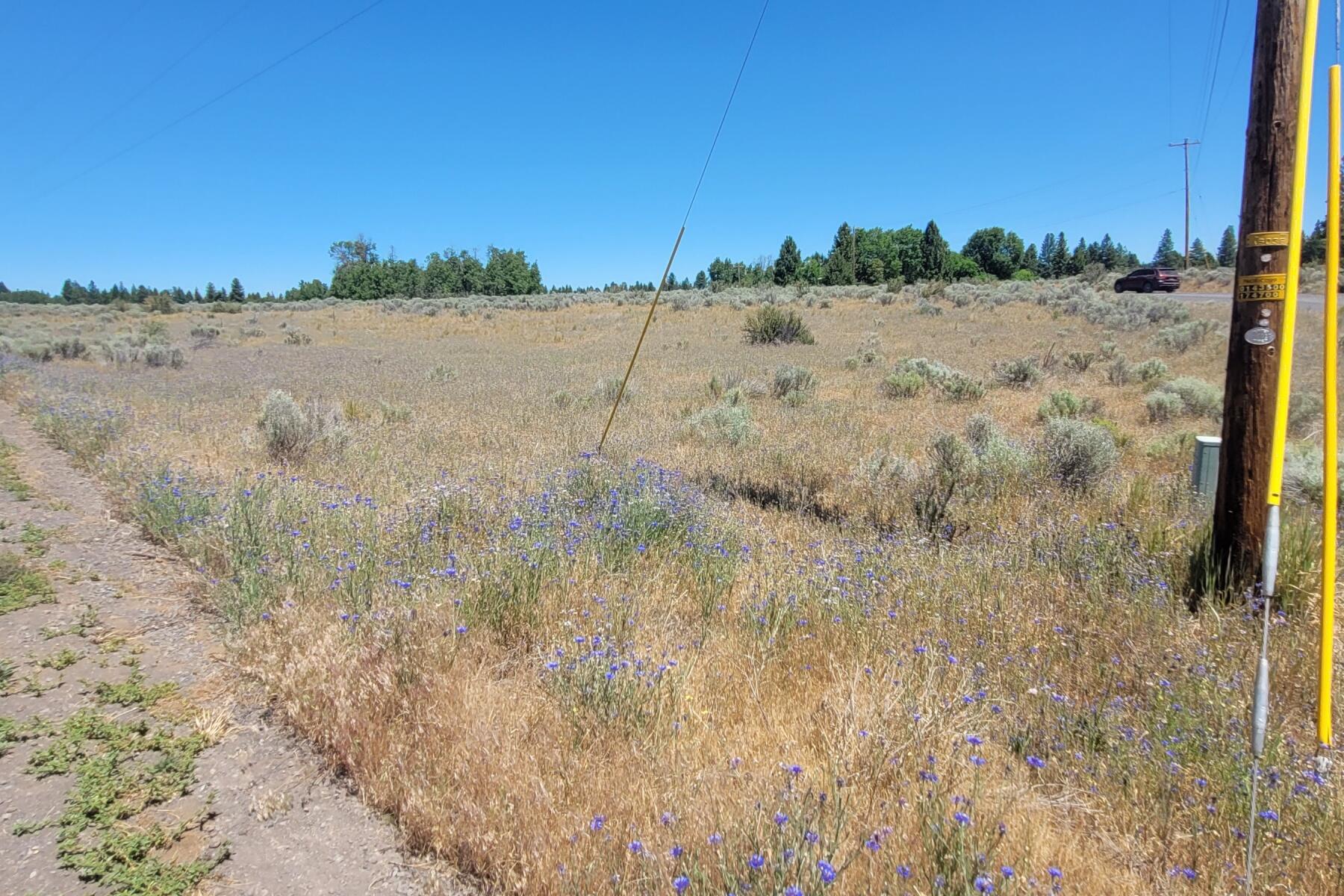 Oregon Shores -Unit 2-First Addition - Land