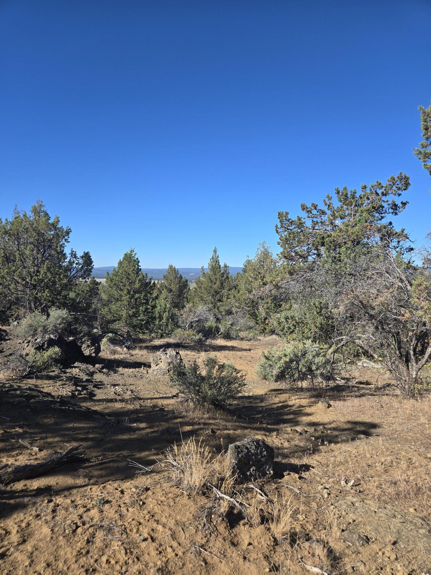 Klamath Falls Forest Estates -Hwy 66 Unit -Plat No. 1 - Land