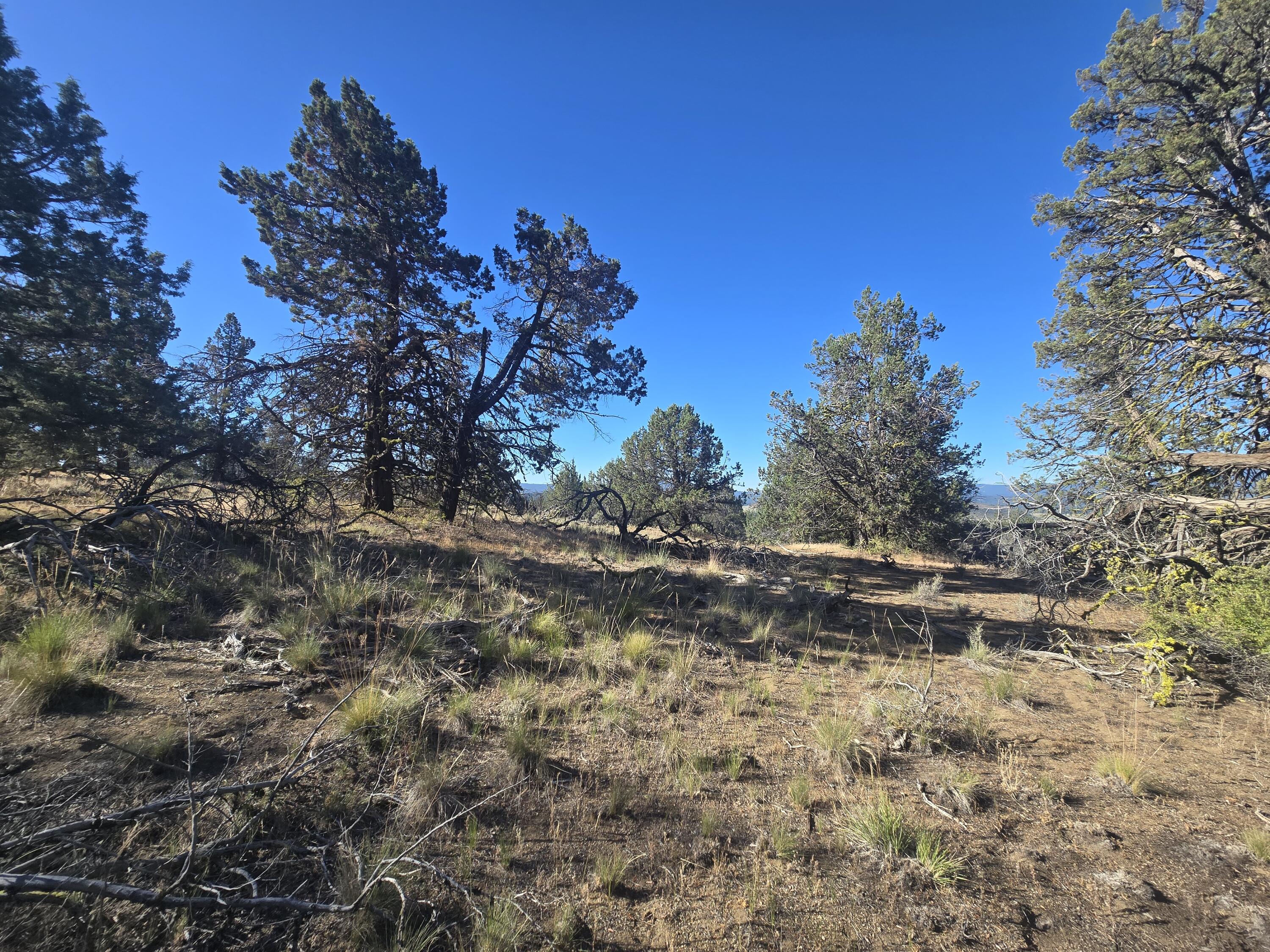 Klamath Falls Forest Estates -Hwy 66 Unit -Plat No. 1 - Land
