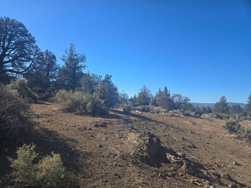 Nearly 5 acres of beautiful rural land—ideal for building your dream home or a private getaway at an affordable price. Lots of mature trees with plenty of room for a custom home, garden, livestock, or outdoor recreation. Escape the city and embrace the freedom of country living while still being within reach of modern conveniences. Don't miss this opportunity to own a slice of serene countryside! View this property today!  Buyer to do their own due diligence on building requirements and use of property.