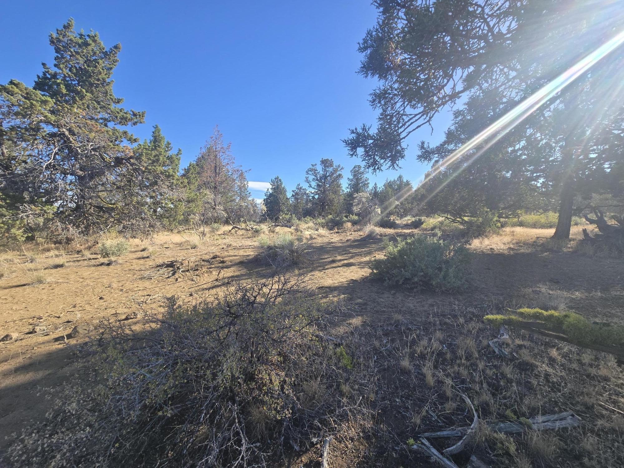 Klamath Falls Forest Estates -Hwy 66 Unit -Plat No. 1 - Land