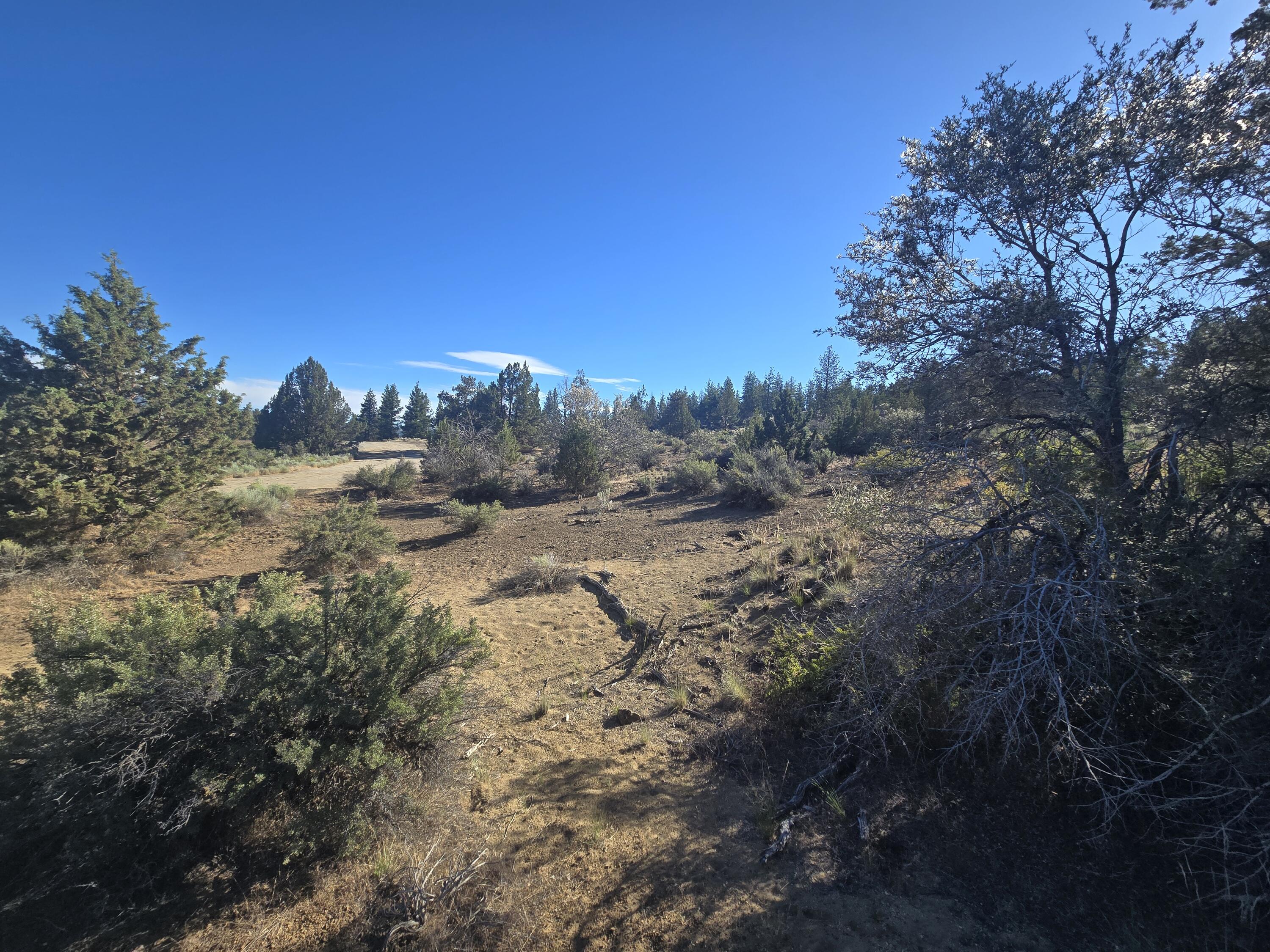 Klamath Falls Forest Estates -Hwy 66 Unit -Plat No. 1 - Land