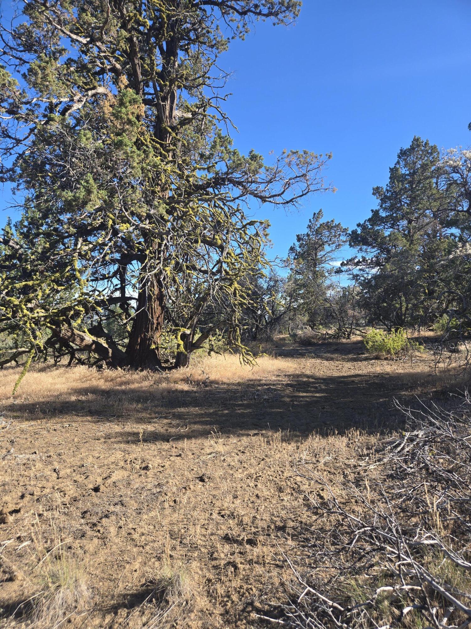 Klamath Falls Forest Estates -Hwy 66 Unit -Plat No. 1 - Land