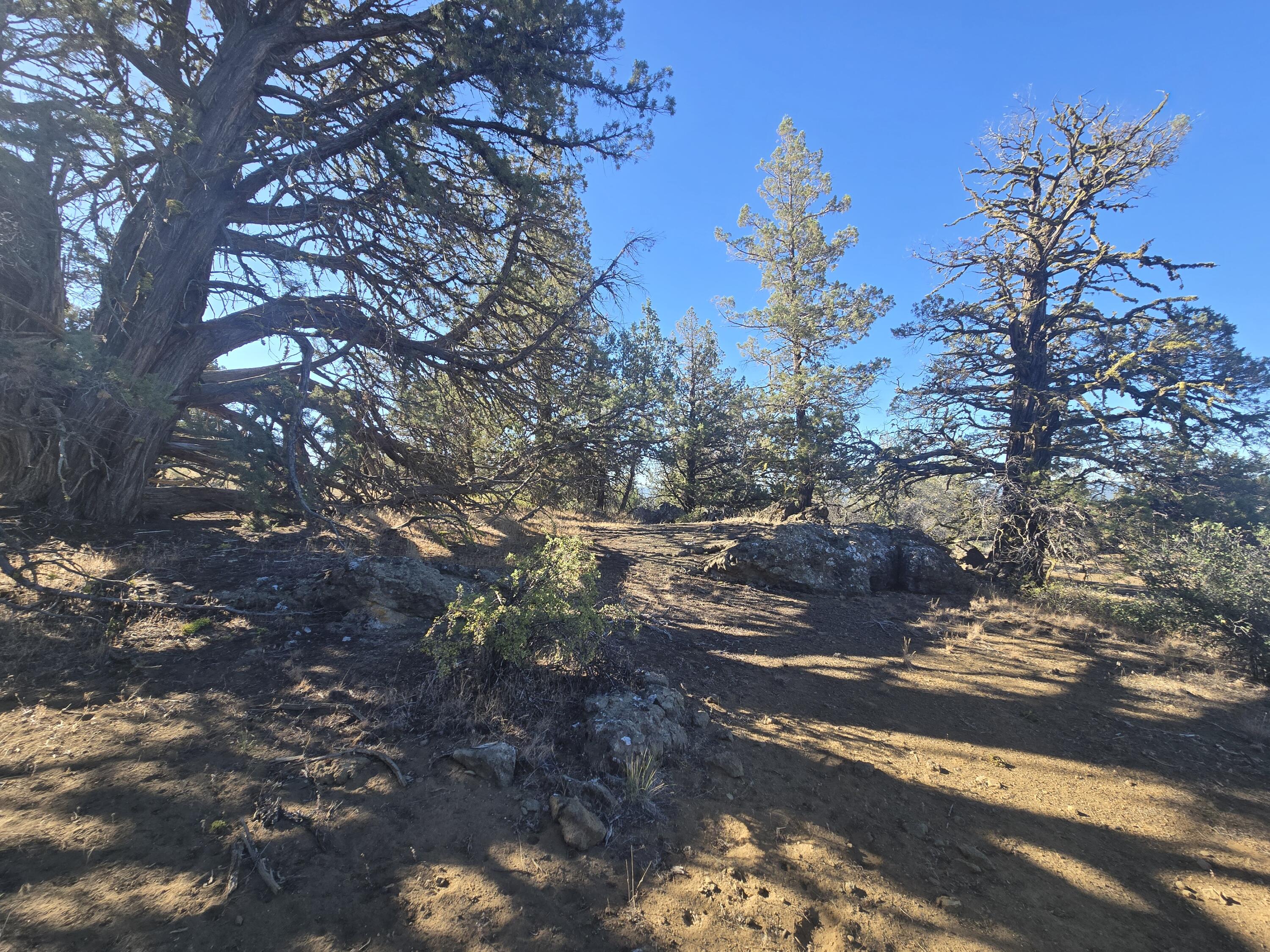 Klamath Falls Forest Estates -Hwy 66 Unit -Plat No. 1 - Land