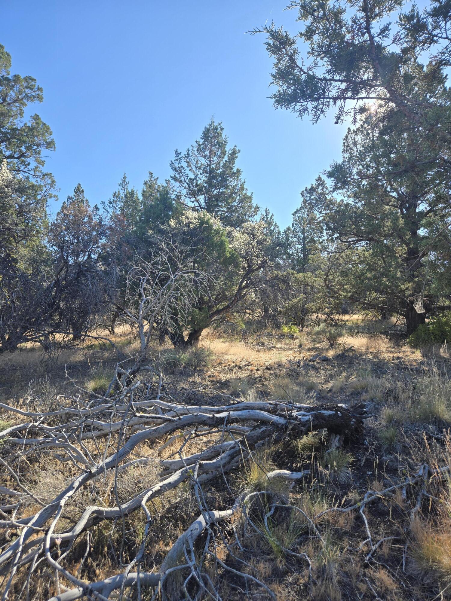 Klamath Falls Forest Estates -Hwy 66 Unit -Plat No. 1 - Land